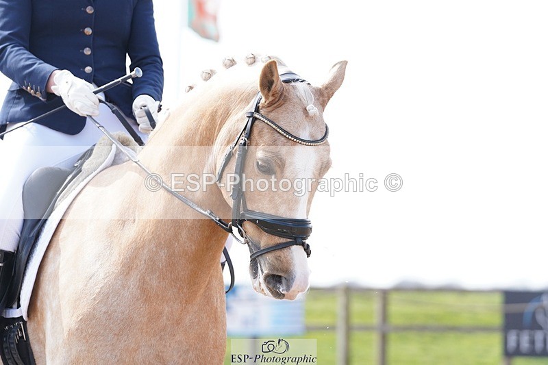 250403-124748-01976 - 058-Vikki.Pengilly-Cynheidrefawr.Isaac