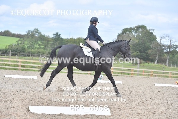 BPP_6068 - NOVICE TEST 4 + 6 LONG ARENA