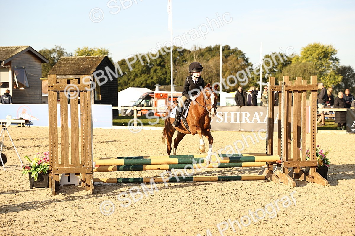 SBM_59403 - J11 - Junior Pony 50cm Championship