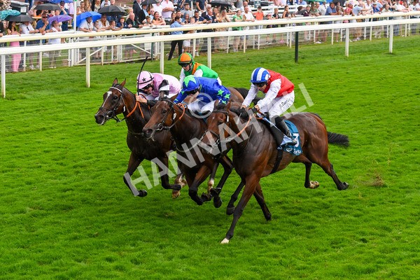 100923-Race 6-Anjo Bonita-1078 - Race 6 4.25pm Hanson Springs 60th Anniversary Handicap at York