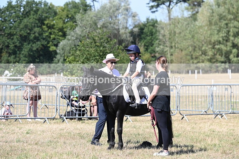 WJ6_8439 - Class 37a Best Loan Pony Ridden
