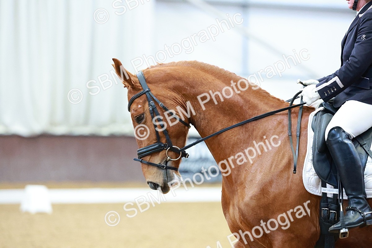 SBM_003291 - Class 1-2 - P4-P6