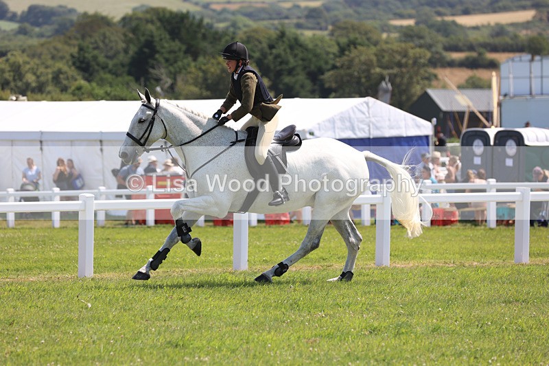 JPP_3185 - Class 22: Working Hunter 70cm