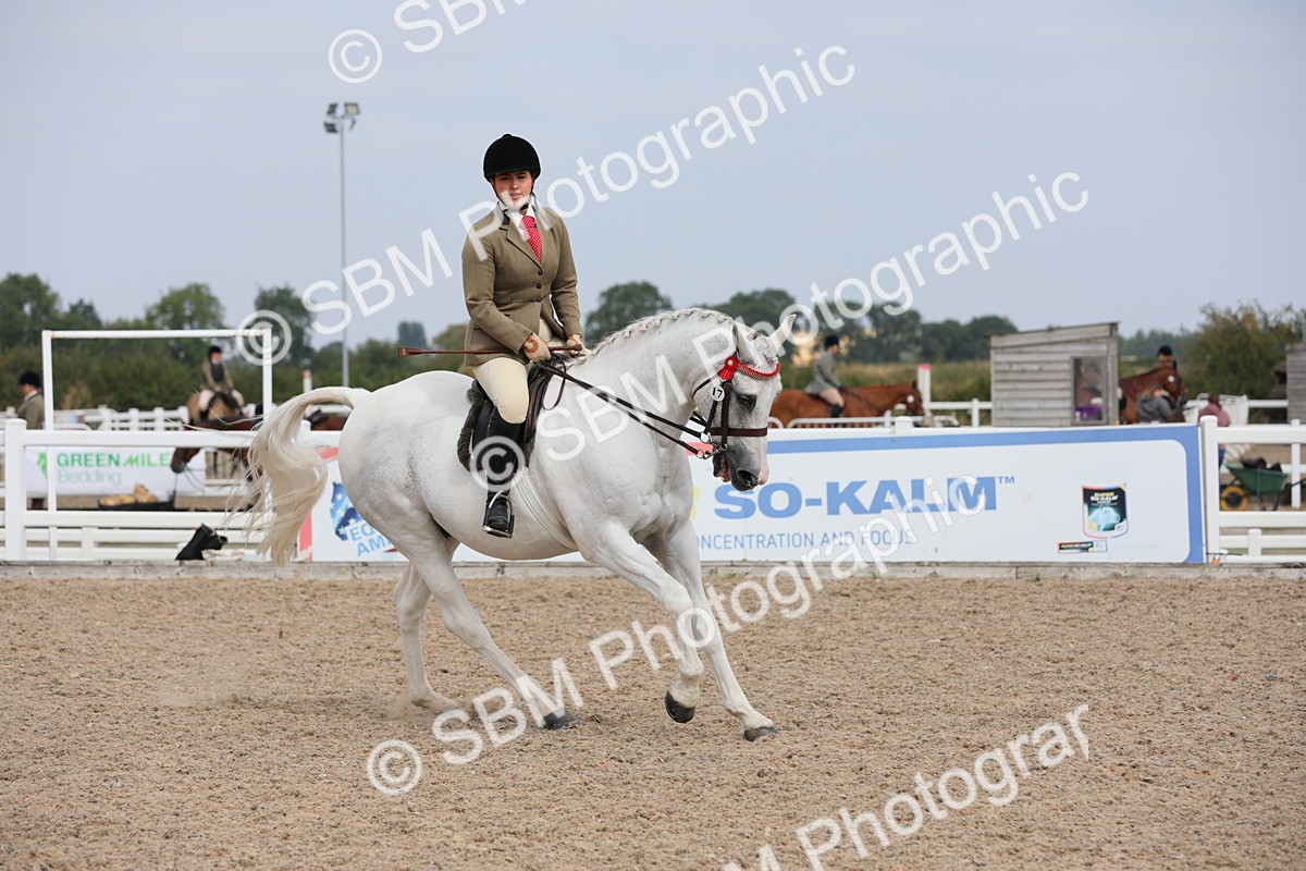 SBM_13411 - Class 308 Ridden Coloured Horse