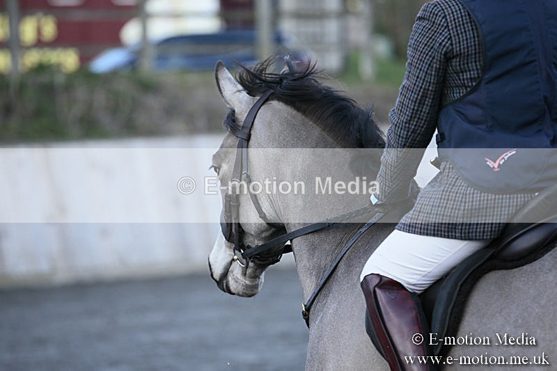BVRC SJ 170319 16 - Bourne Valley Riding Club Showjumping 17/03/19