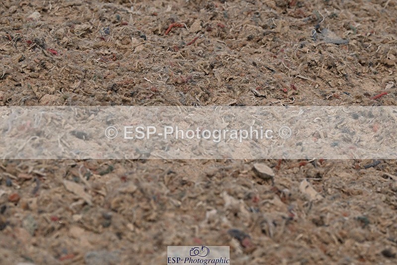 250621-154826-11899 - Cls 33 - Medium 6