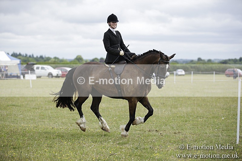 BVR160717-1930 - Side Saddle Classes 16/07/17