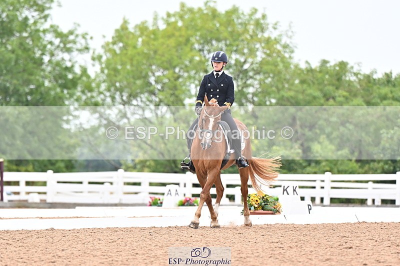 240815A-135920-01720 - 170-India.John-Grayswood.Orlando