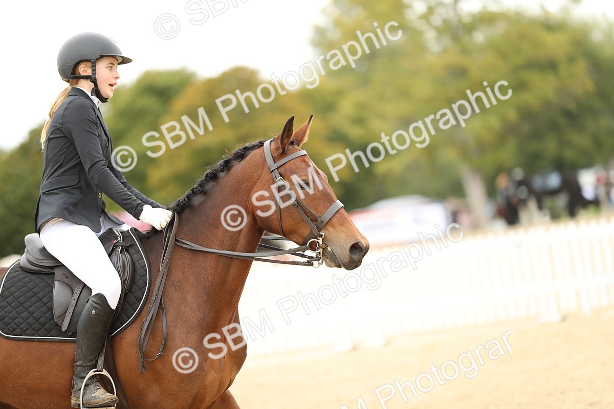 SBM_59666 - J25 - Junior Horse 80cm Championship