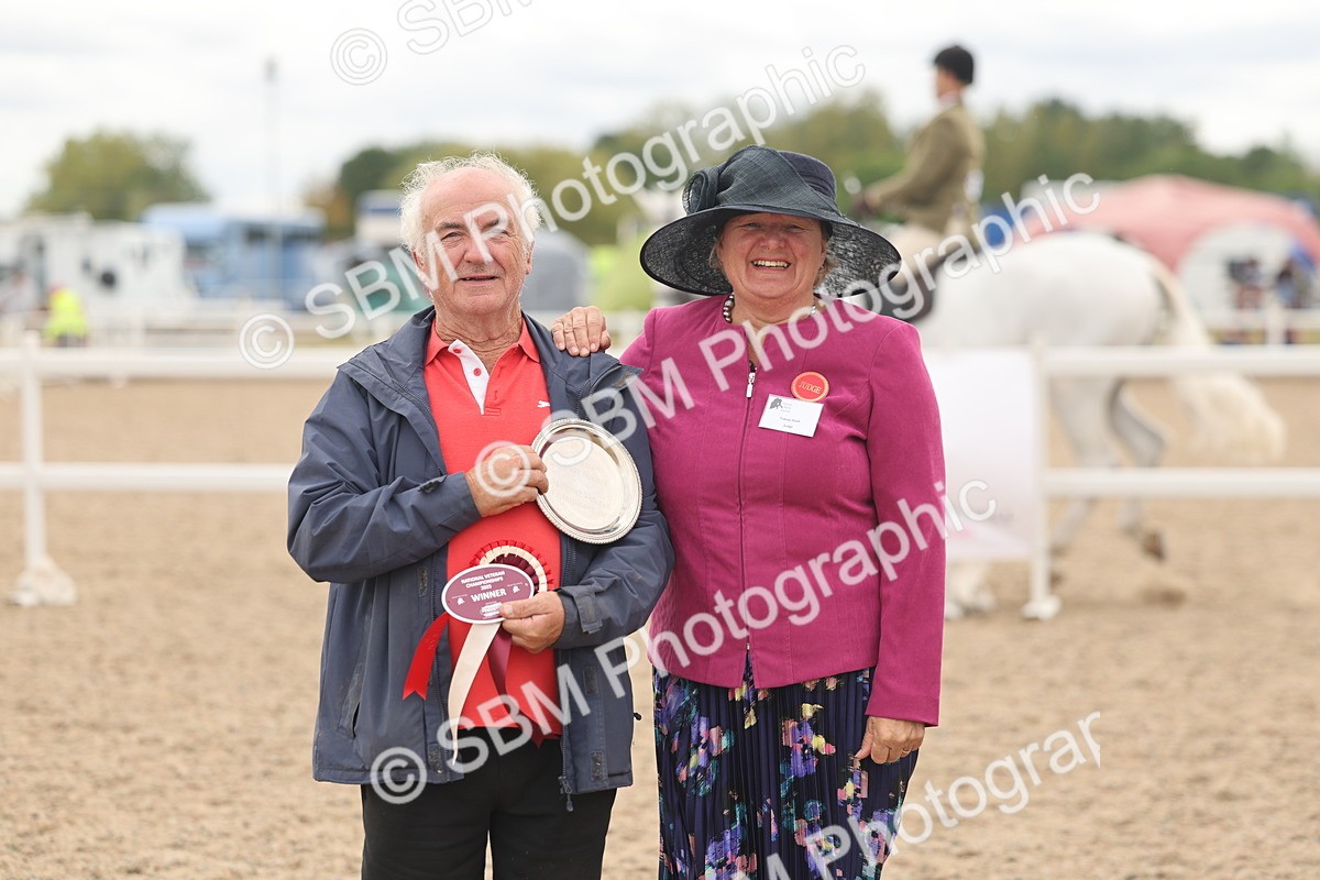 SBM_17023 - Class 312 - IH Competition Horse-Pony