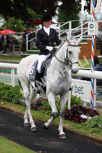 yr22052022r8e-59 - ROR - Parade Ring York