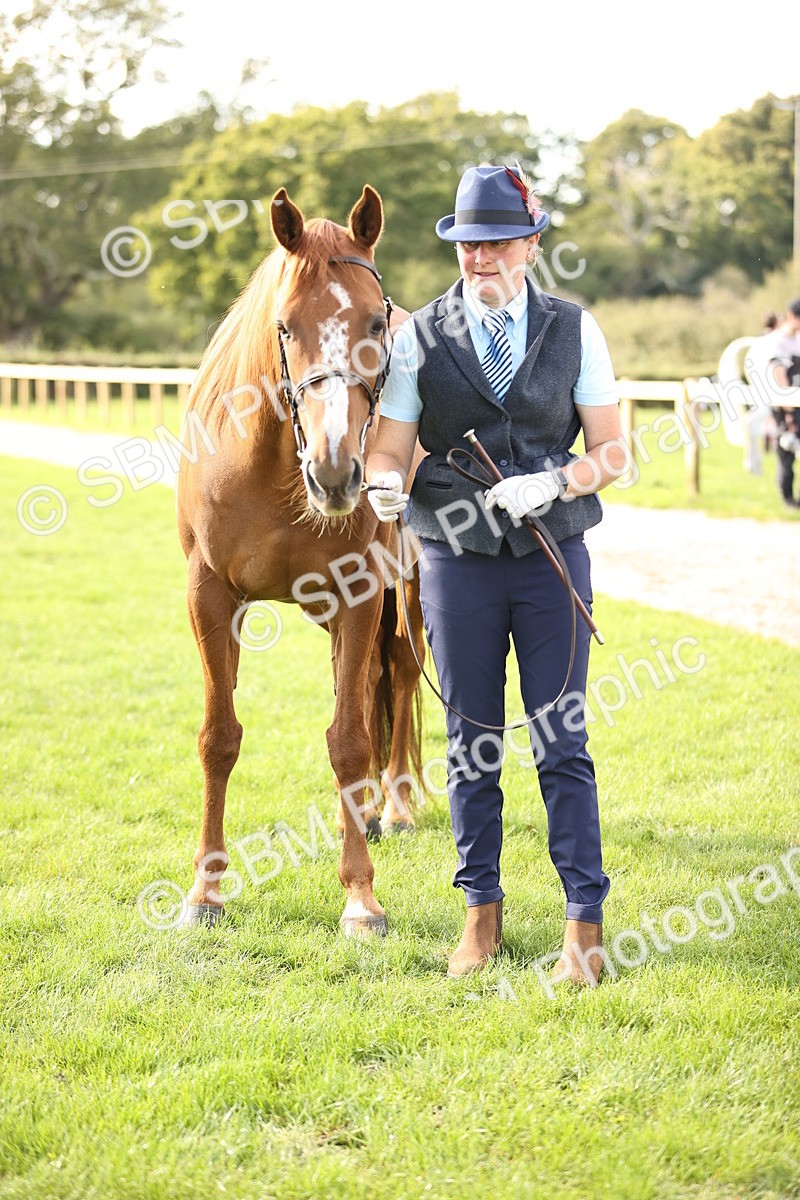 SBM_26297 - S5 - Novice & Newcomers In Hand