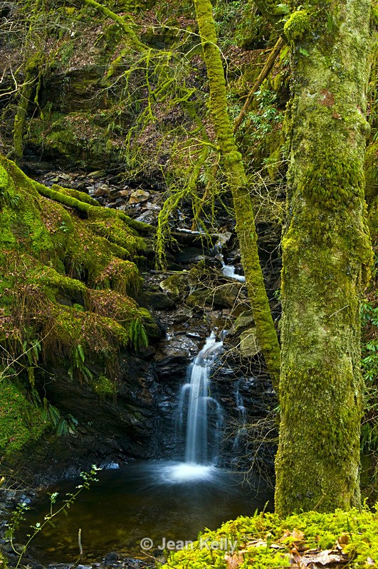 Ormidale Estate, Argyll - 3974 - Water