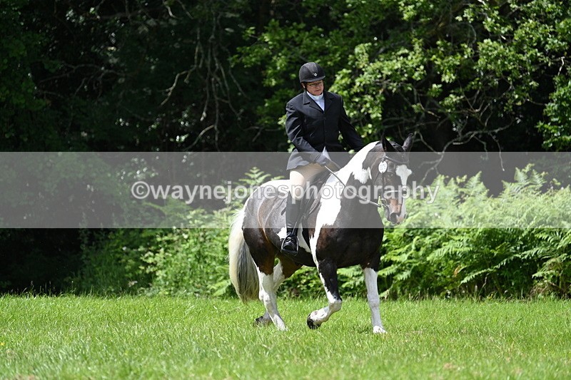 WJ7_2666 - Class 12A Coloured Class
