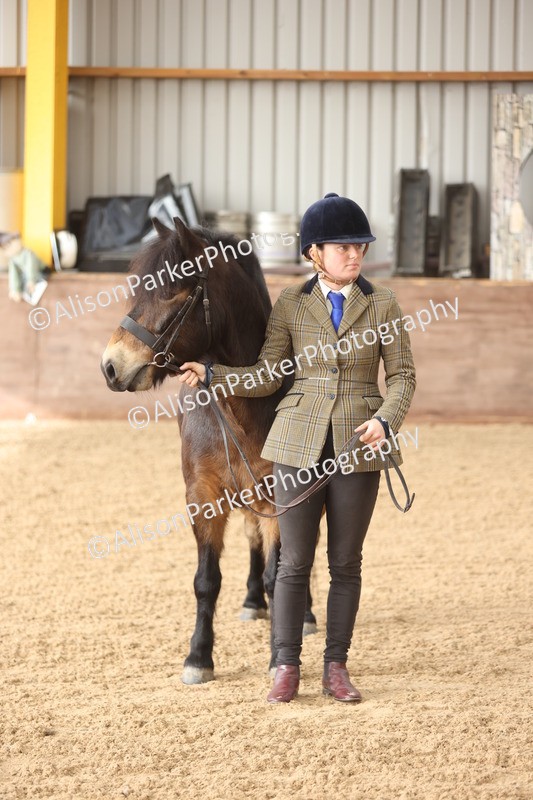 20251109-0619 - Class 22 - Geldings 4 Years and over