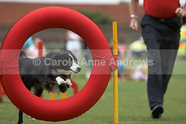  - Tendring Agility Group- St Osyth Summer Fete