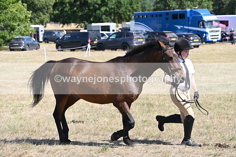 WJ6_9129 - Championship Classes 33-38