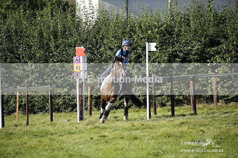  WWHT 031021 774 - WWEC Novice Restricted (0.80m) 18/10/20