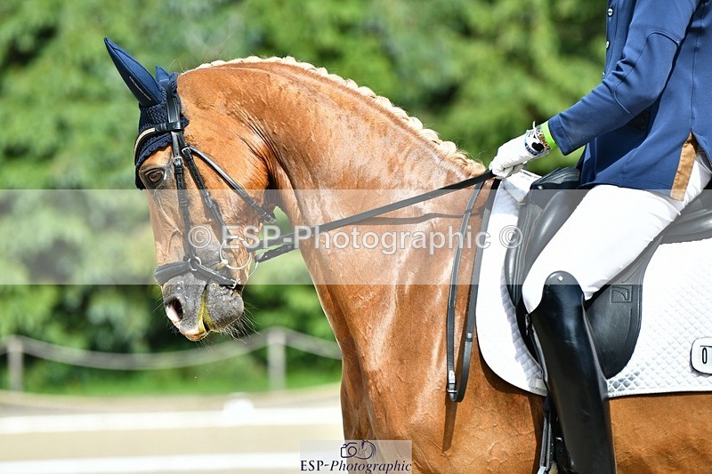 230623-155718-02793 - Cls 6 Elementary 53Q