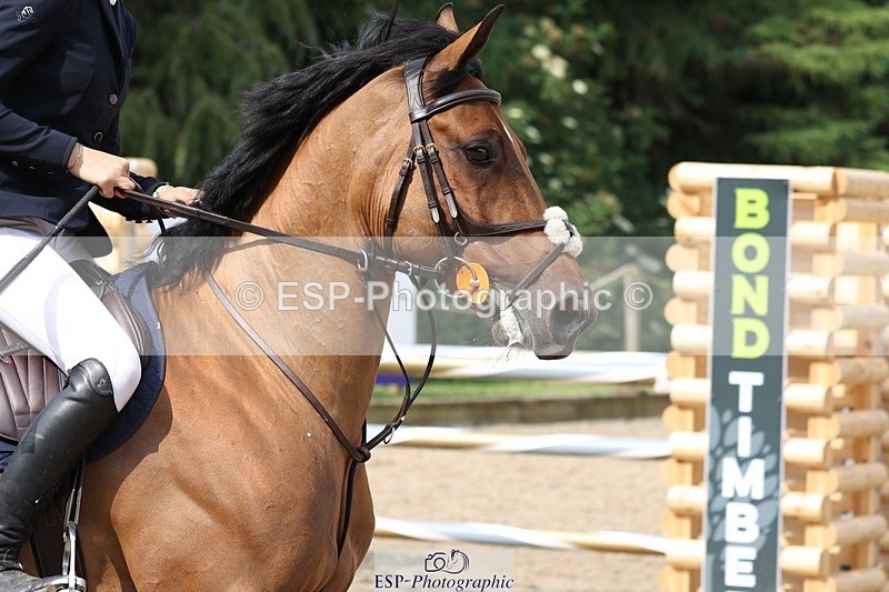 230617-100749-01036 - Cls 08a Pony 1.05