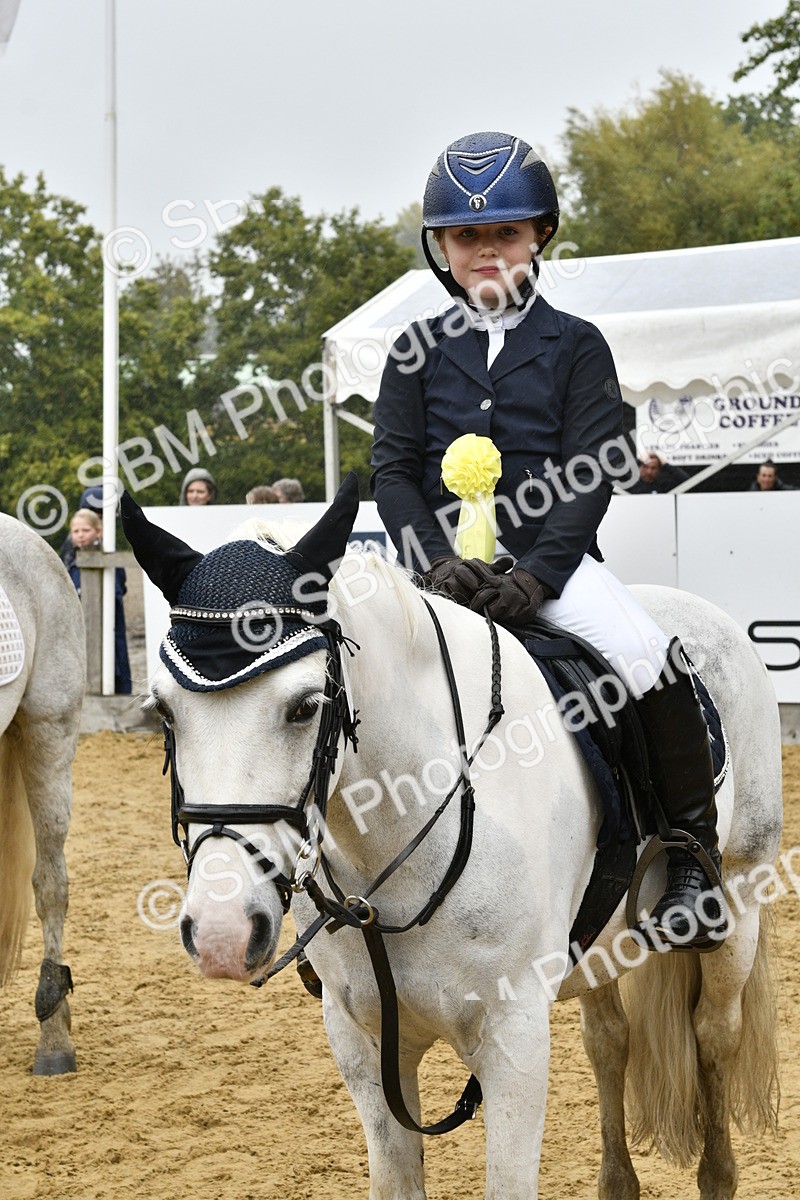 SBM_71008 - J3 - Mini Tour Junior Pony 40cm championship
