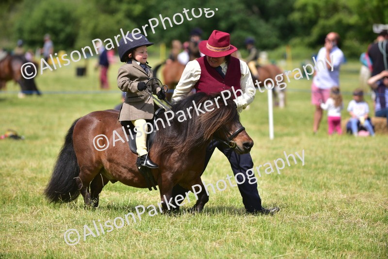 20260614-1250 - Class 11a - Lead Rein Pony (Unplaited)