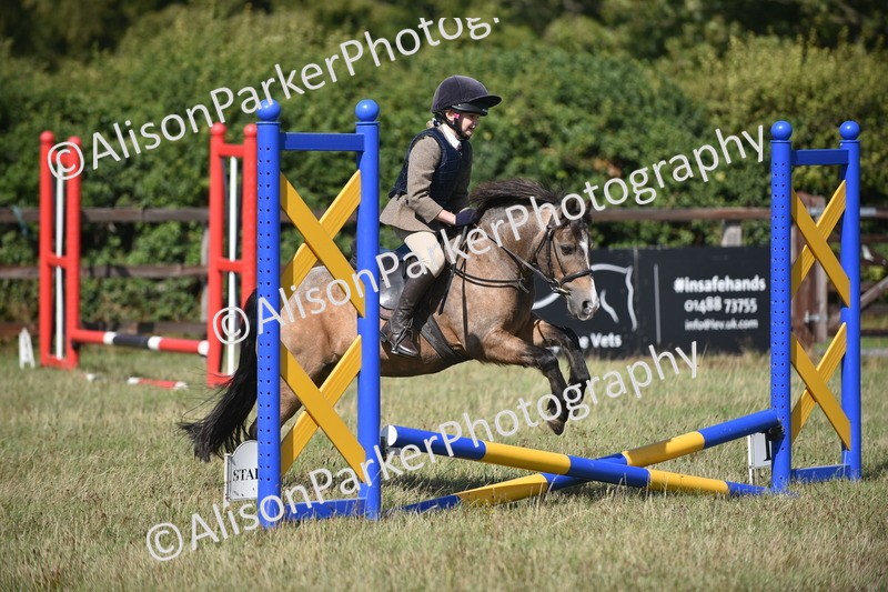 20260906-1415 - Class 8 - Hoof and Foot