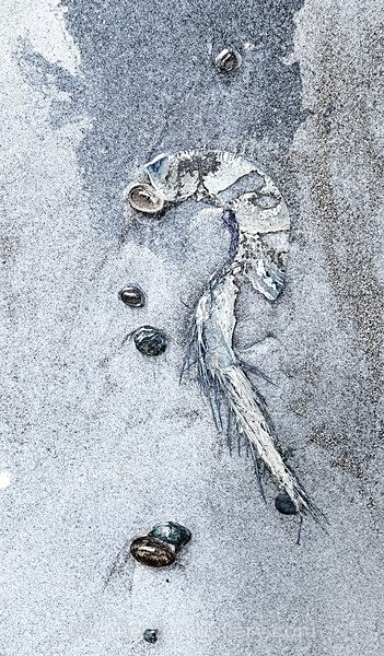  - The Sand Gallery