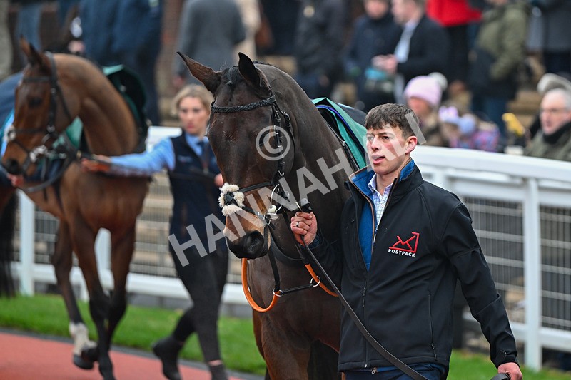 131224-Race 2-Ballymackie-8626 - Race 2