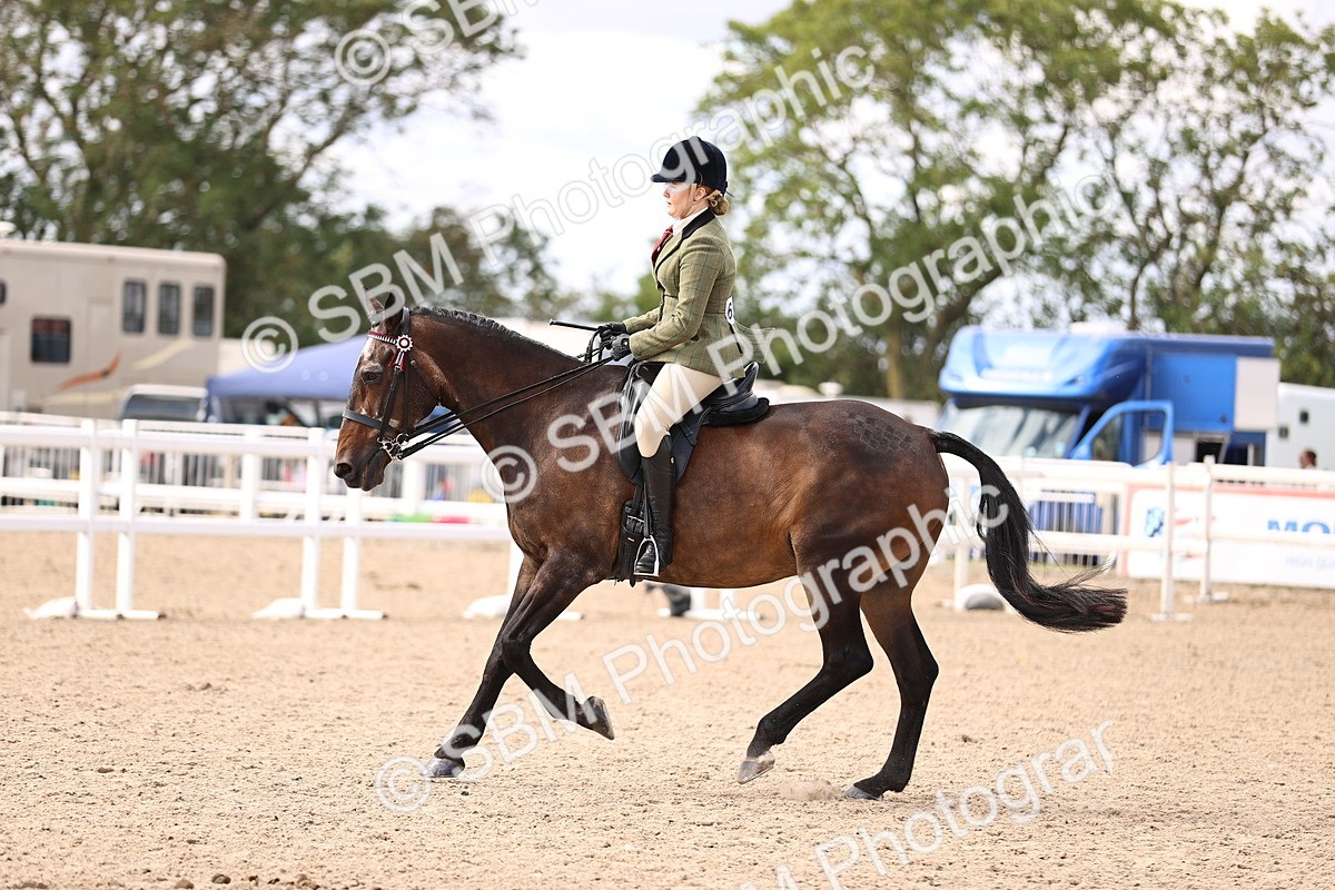 SBM_12943 - Class 410 - Grassroots Ridden - Horse