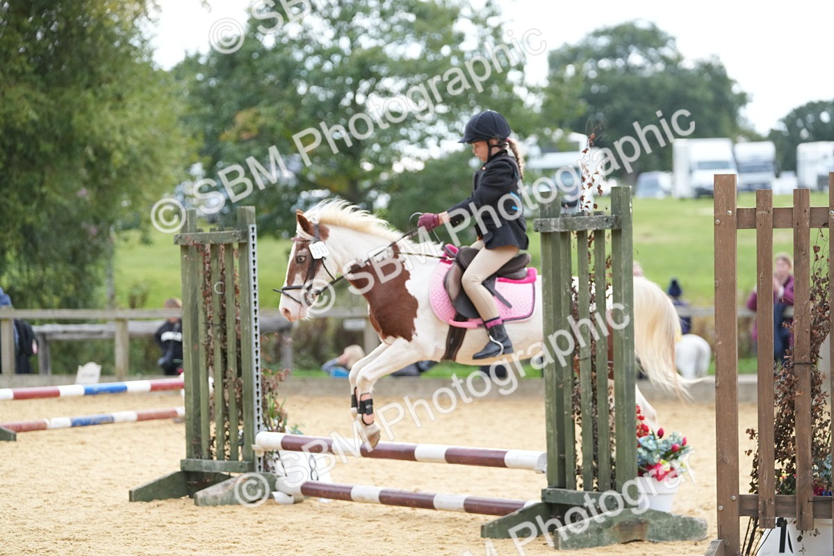 SBM_74672 - J4 - Mini Tour Junior Pony 45cm Championship