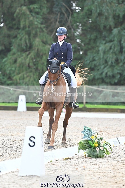 231019-122331-03090 - 113-RIVERSTOWN.ROYAL-Georgie.Frow-DR