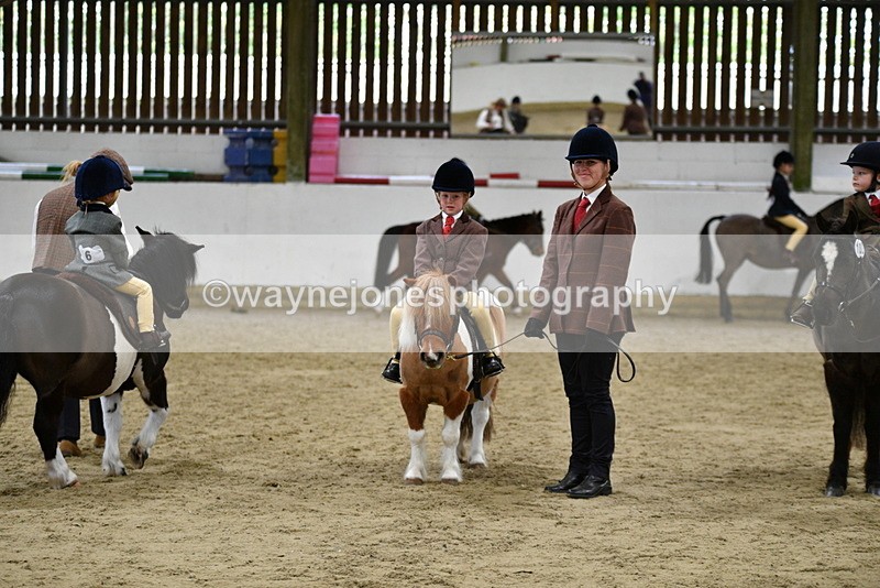 WJ5_7071 - Class 10 Childs Pony