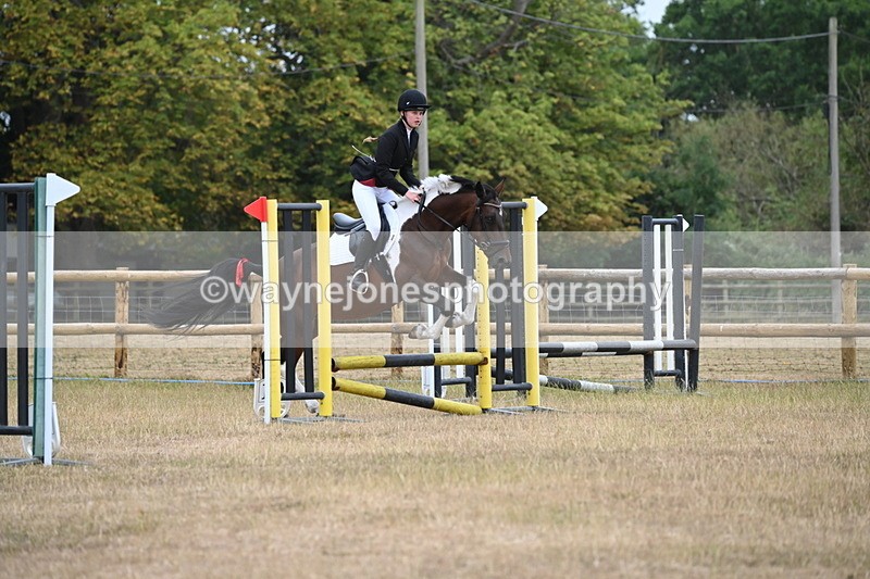 WJ6_0051 - Class 13 Novice Jumping 60cm