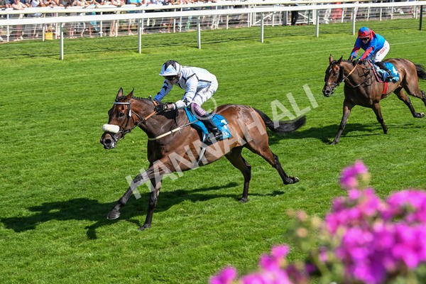 120725-Race 4-Al Qareem-5801 - Race 4 3.45pm John Smith's Silver Cup Stakes