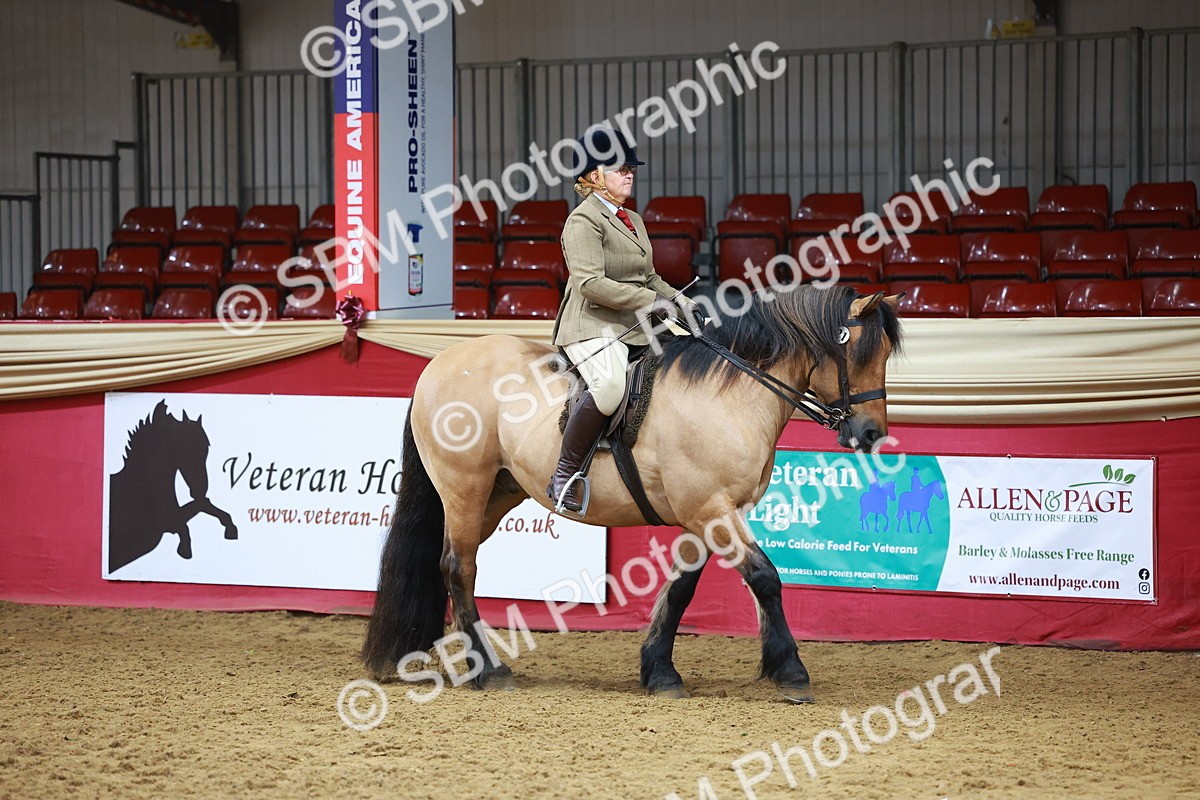 SBM_09348 - Class 102 - HOYS Veteran Qualifier - Ridden Veteran