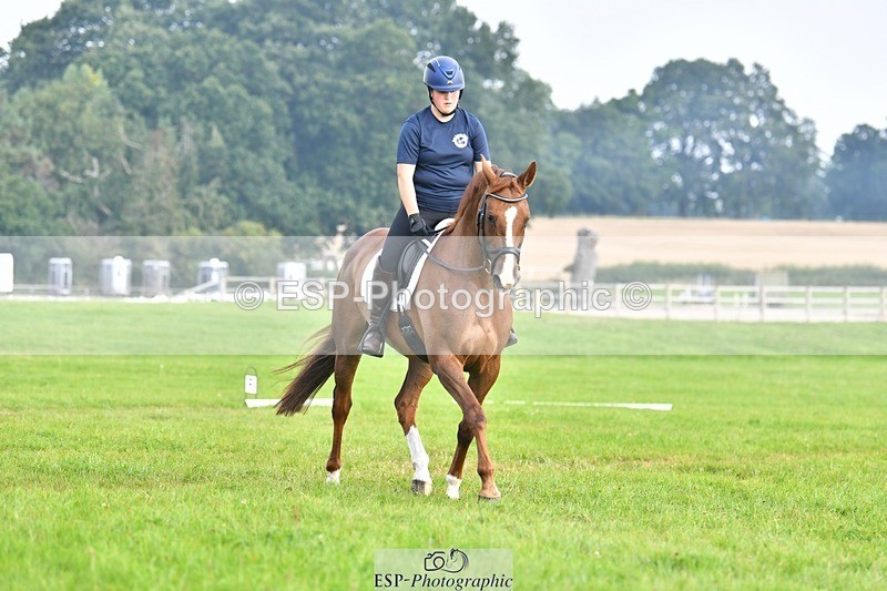 230817-092735-02548 - Abbie's 1st Group - Dressage