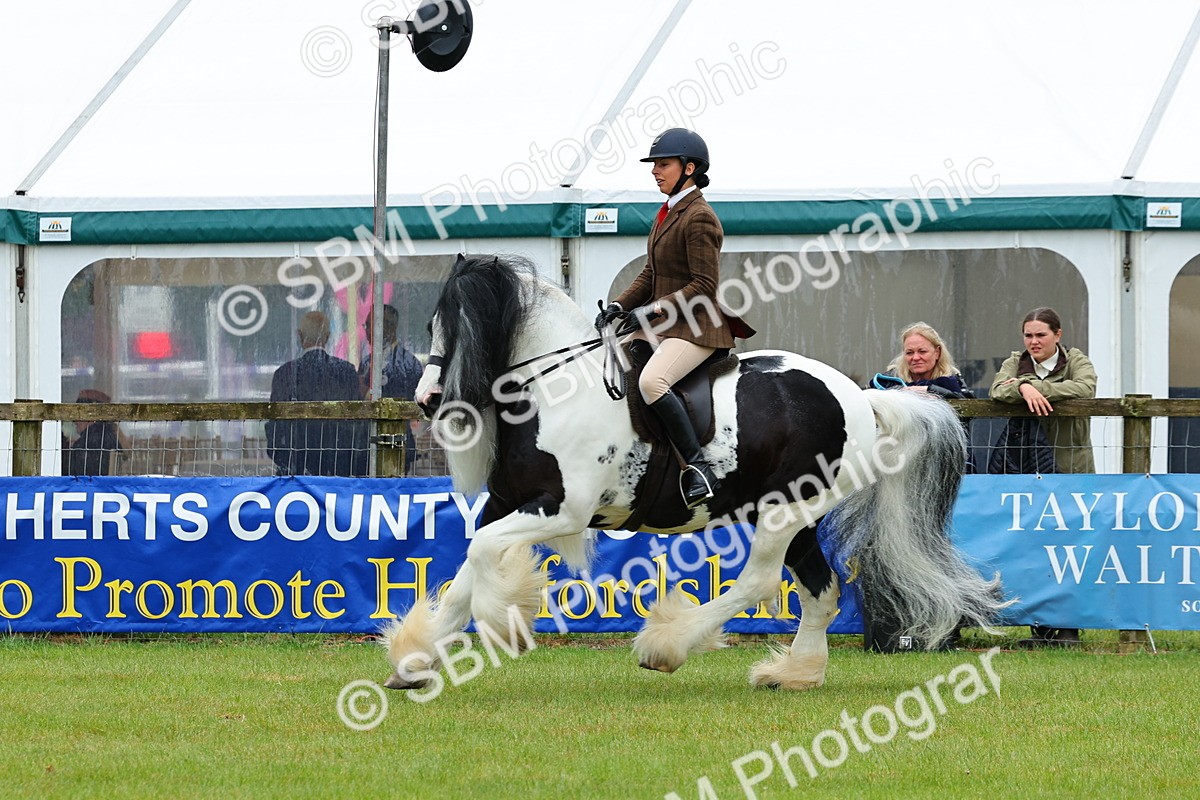 SBM_01231 - Class 1-4 - BSPA Ridden