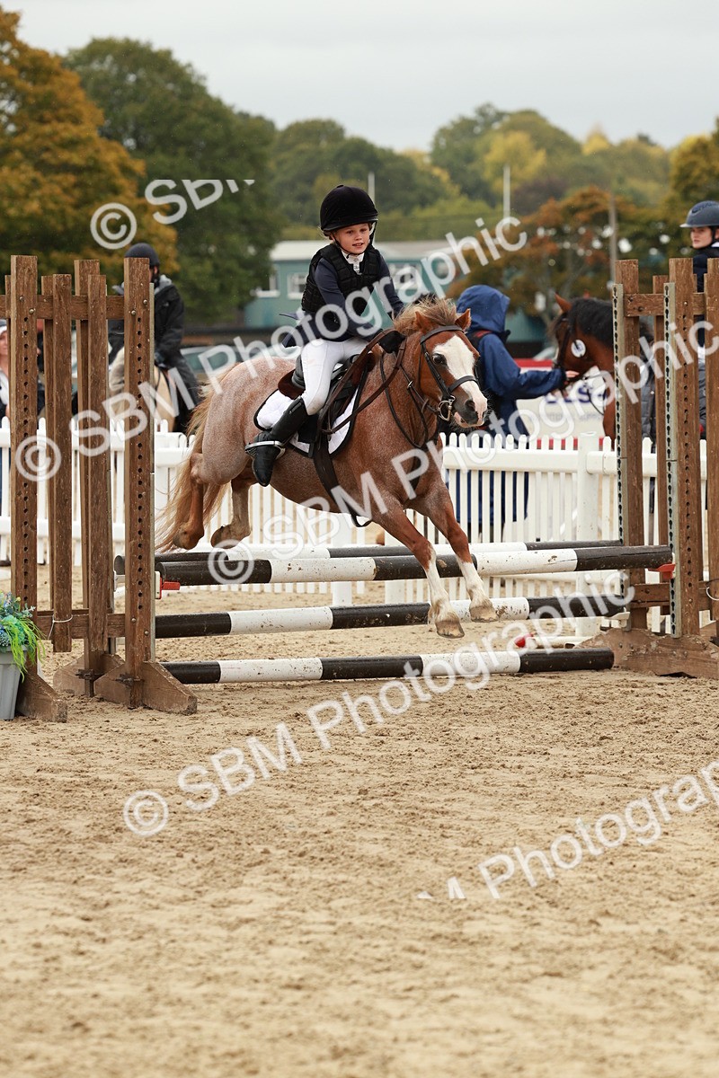 SBM_69161 - J13 - Junior Pony 60cm Championship
