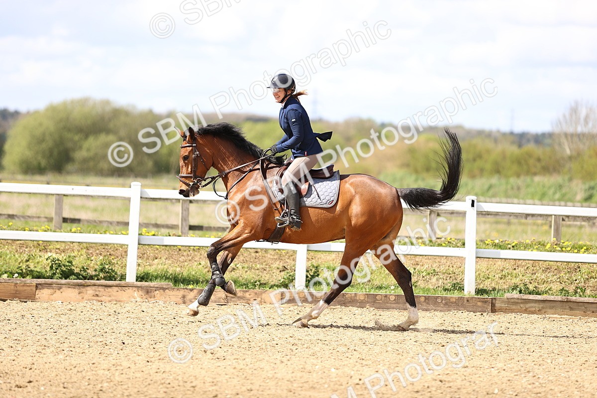 SBM_004093 - Class 17 - Senior Newcomers - 1.10m