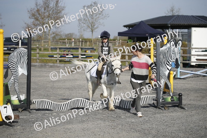20250412-0162 - Show Jumping