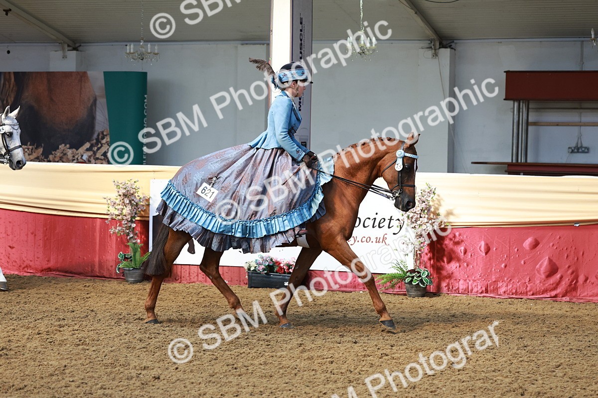 SBM_13695 - Class 106 - Ridden Costume -Astride Adult (15-19)