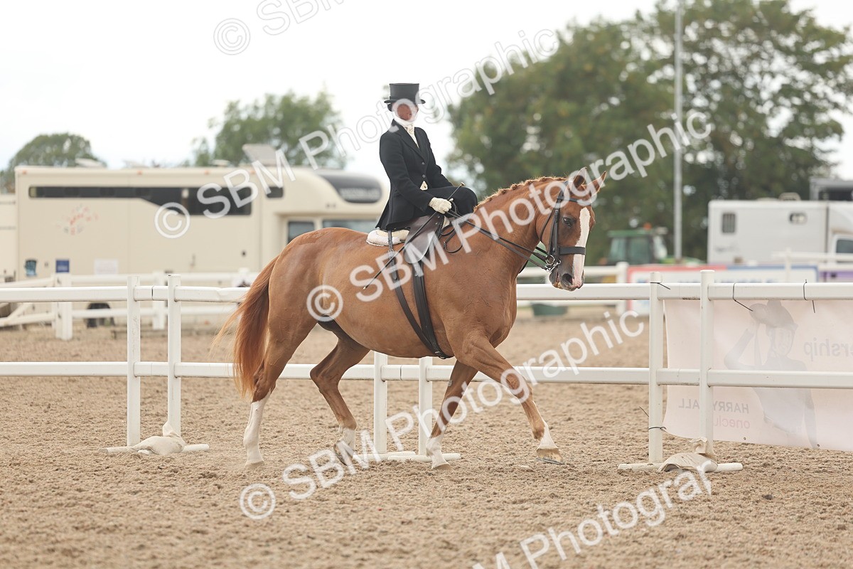 SBM_06316 - Class 23 - SSA - Classical