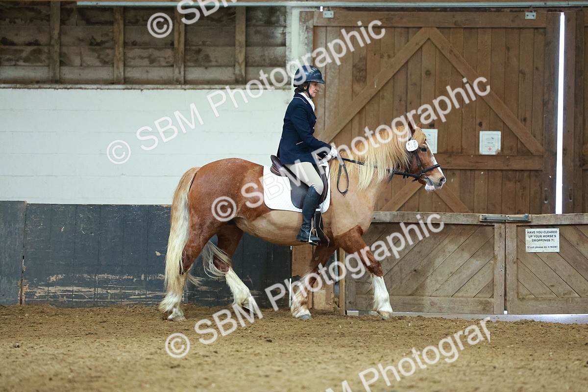 SBM_003635 - Novice 2