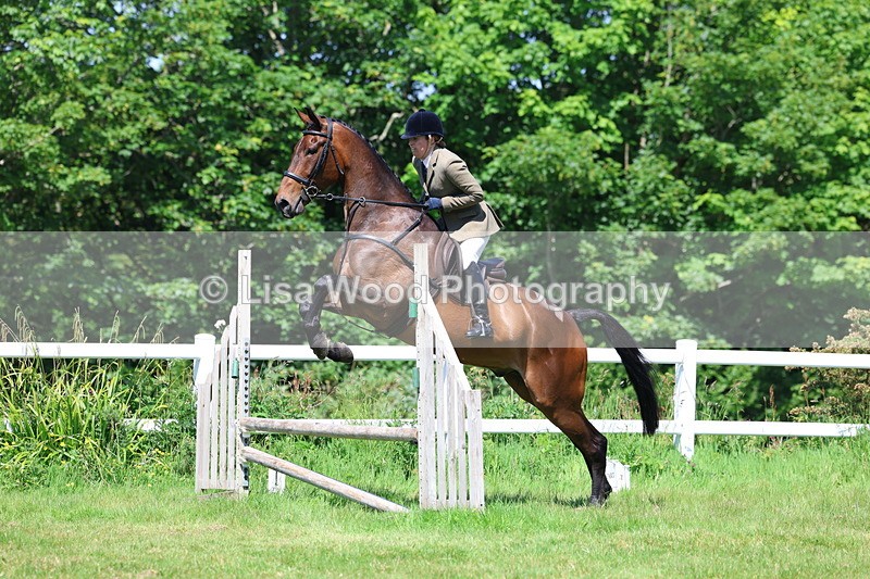 3E7A7072 - Class 30: Novice Working Hunter