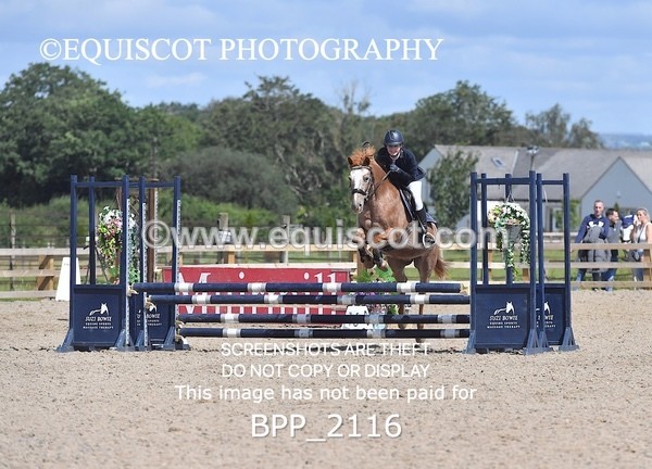 BPP_2116 - DERBY CLASS 6 - 70CM