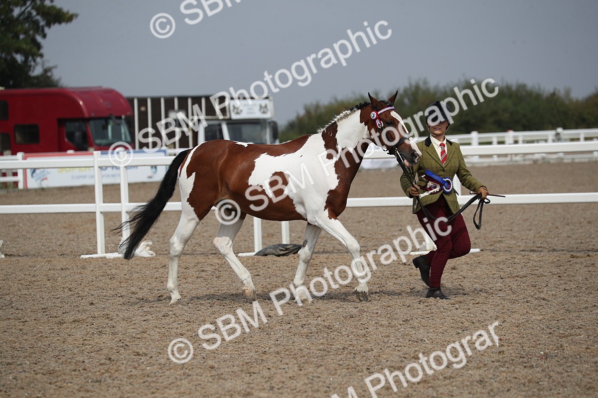 SBM_23203 - Class 605 - 2025 Area - IH Veteran