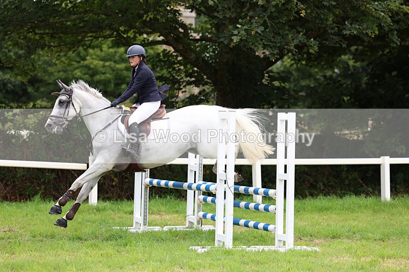 3E7A7044 - Class 5: Senior British Novice/90cm open
