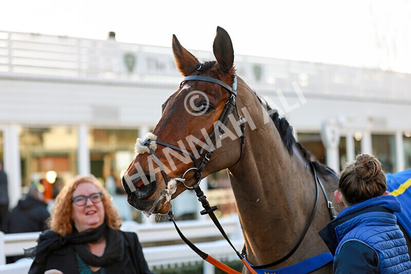 010125-Race 2-Beat The Edge-2352 - Race 2