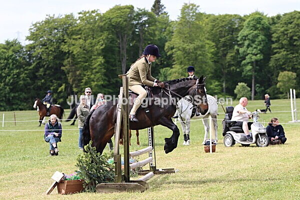 IMG_3133 - Working Hunter